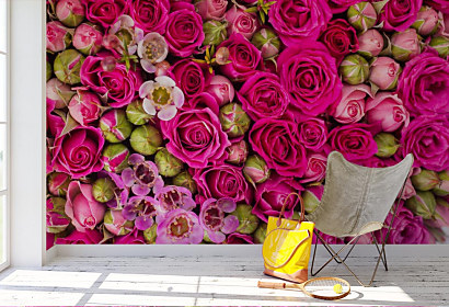 Fototapeta Bed of roses 1587